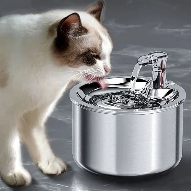 Katzen-Trinkbrunnen Edelstahl mit Sensor & 4-fach Filterung -    Zorenza