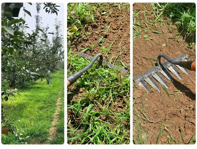 Gartenhacke aus Kohlenstoffstahl – Scharfe Zinken für Jäten und Bodenlockerung Zorenza