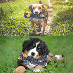 Hundespielzeug Bär aus Polyester mit Quietschfunktion -    Zorenza