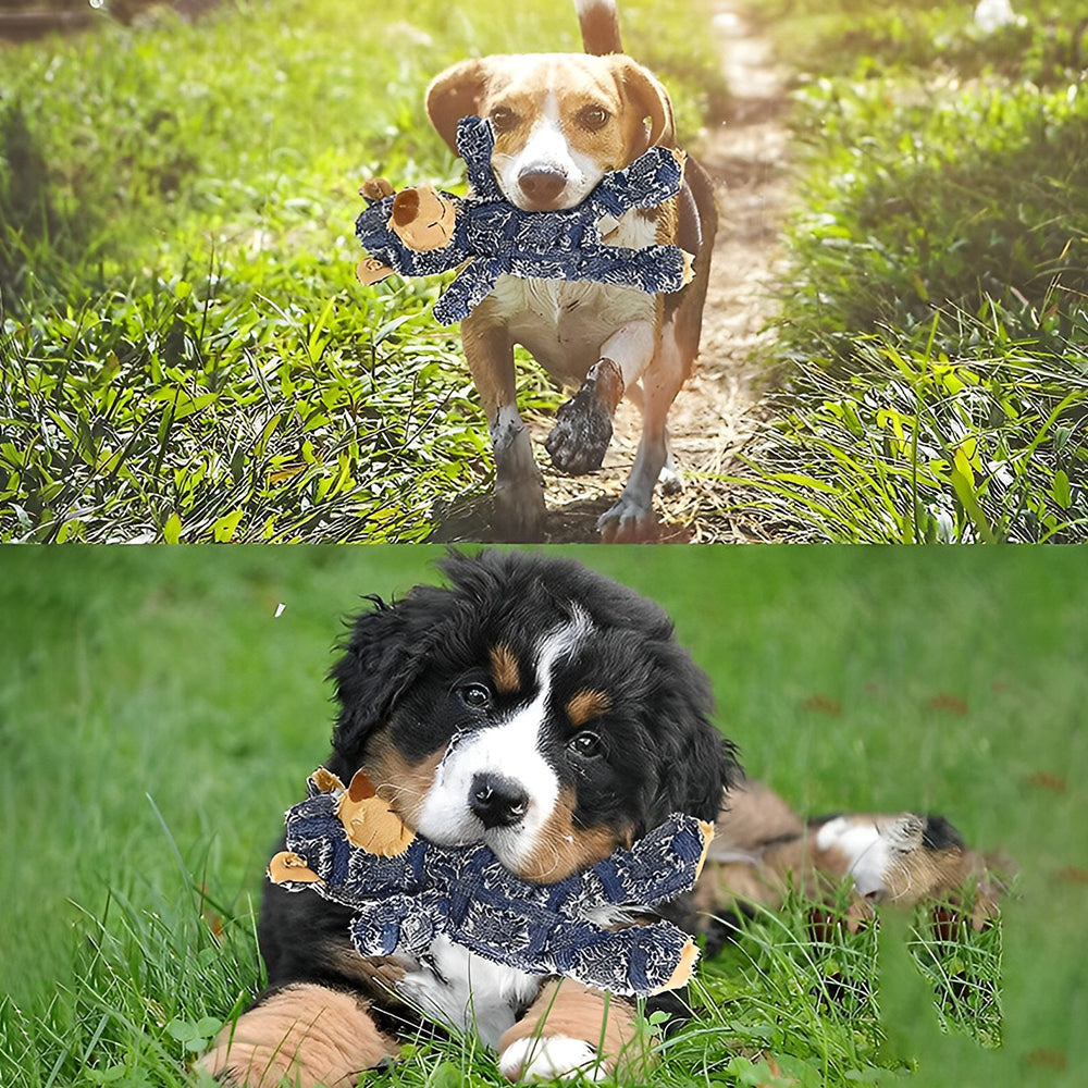 Hundespielzeug Bär aus Polyester mit Quietschfunktion -    Zorenza