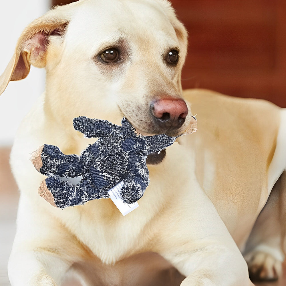 Hundespielzeug Bär aus Polyester mit Quietschfunktion -    Zorenza
