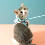 Katzengeschirr mit Leine – Komfortabler Sitz mit reflektierenden Sicherheitsstreifen Zorenza