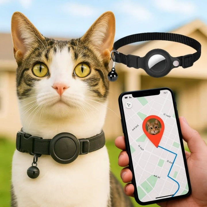 Katzenhalsung mit GPS-Halterung und Sicherheitsverschluss -    Zorenza