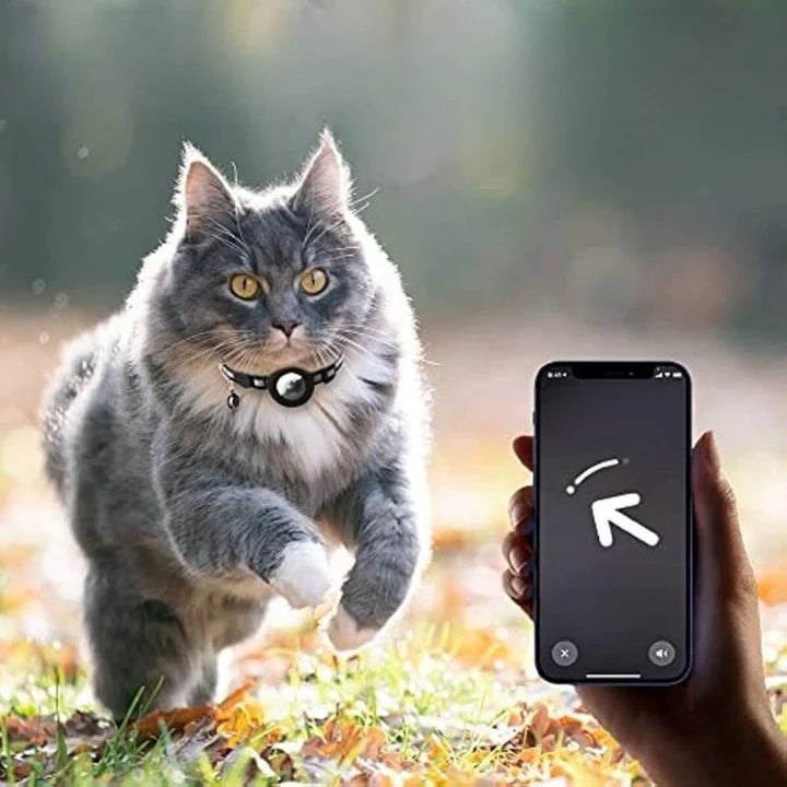 Katzenhalsung mit GPS-Halterung und Sicherheitsverschluss -    Zorenza