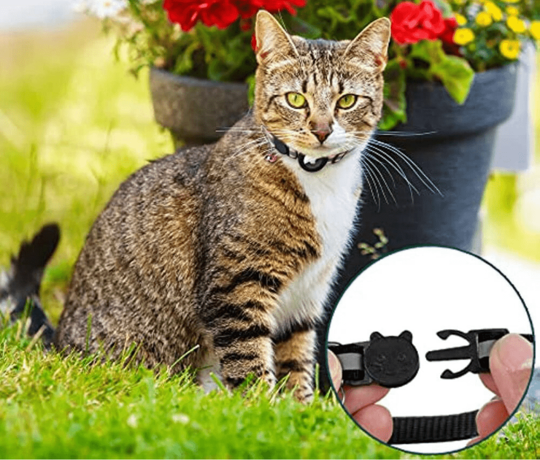 Katzenhalsung mit GPS-Halterung und Sicherheitsverschluss -    Zorenza
