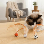 Katzenspielzeug mit Federball Zorenza