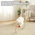 Katzenspielzeug mit Federball Zorenza