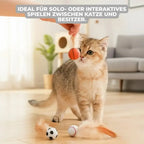 Katzenspielzeug mit Federball Zorenza