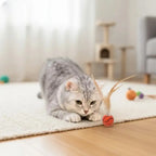 Katzenspielzeug mit Federball Zorenza