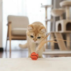 Katzenspielzeug mit Federball Zorenza