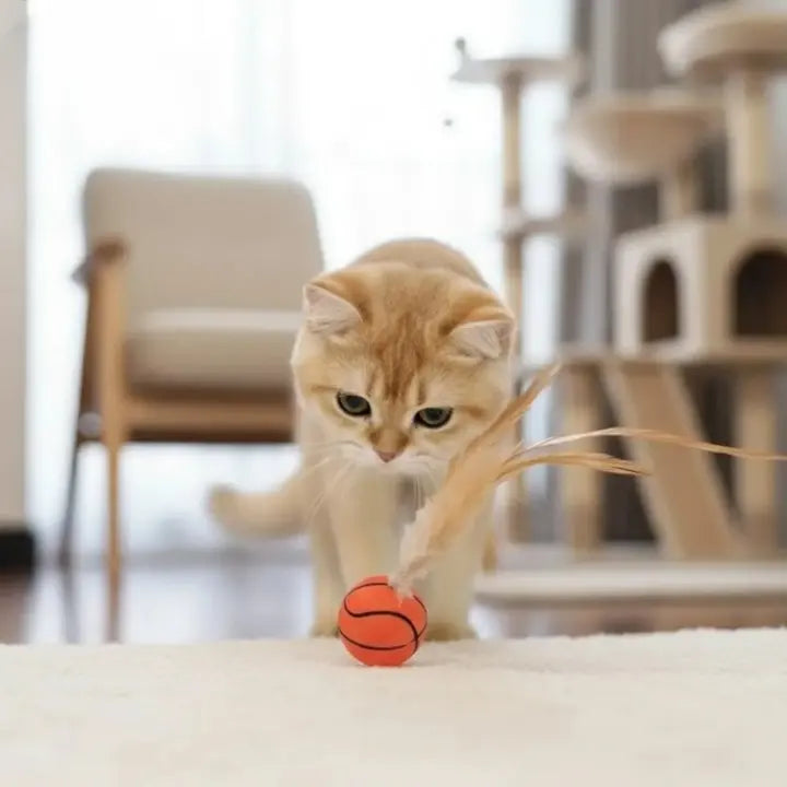 Katzenspielzeug mit Federball Zorenza