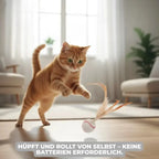 Katzenspielzeug mit Federball Zorenza