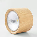 LED-Deckenstrahler in Zylinderform Zorenza
