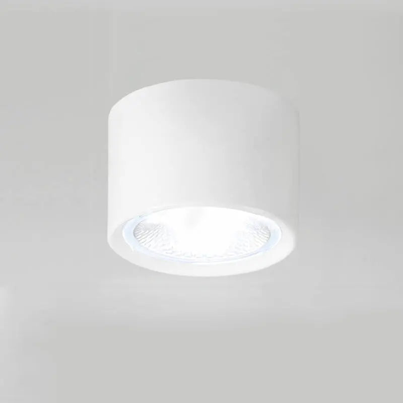 LED-Deckenstrahler in Zylinderform Zorenza