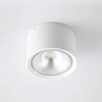 LED-Deckenstrahler in Zylinderform Zorenza