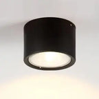 LED-Deckenstrahler in Zylinderform Zorenza
