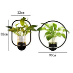 LED-Pflanzen-Wandleuchte mit Glasvase – Rund & Oval Zorenza