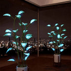 LED-Zimmerpflanze mit programmierbarem Ambiente-Licht Zorenza