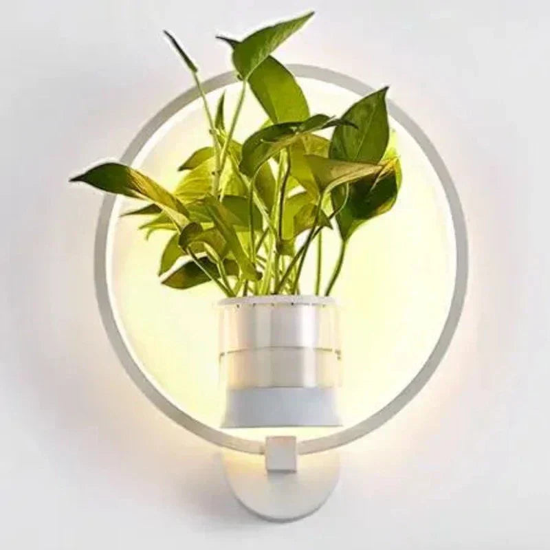 LED Pflanzen Wandleuchte mit Glasvase -    Zorenza