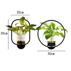 LED Pflanzen Wandleuchte mit Glasvase -    Zorenza