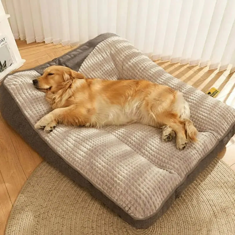 Orthopädisches Hundebett mit Rand – Kratzfest Zorenza