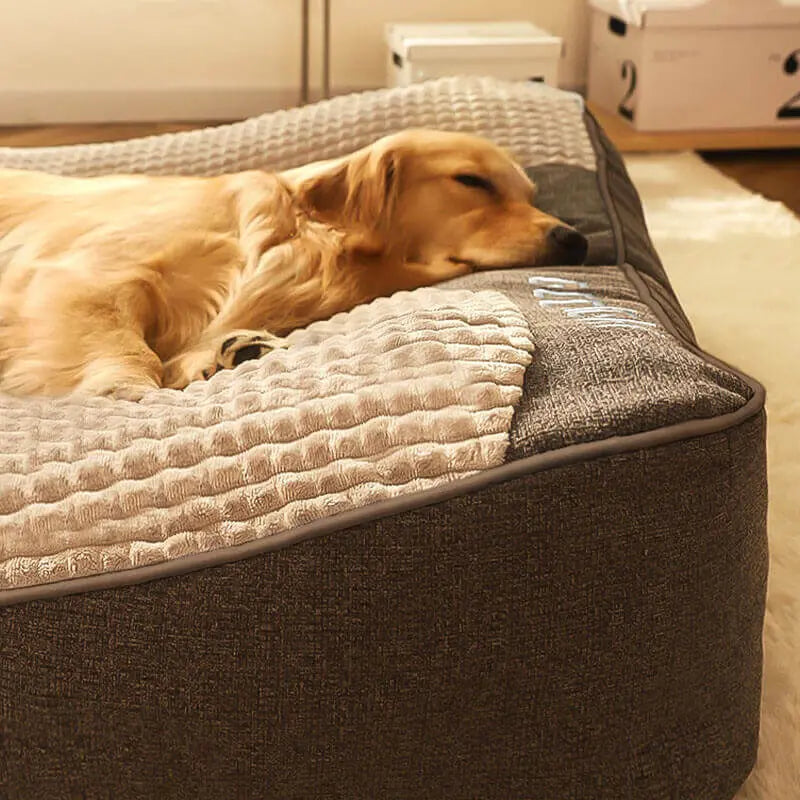 Orthopädisches Hundebett mit Rand – Kratzfest Zorenza