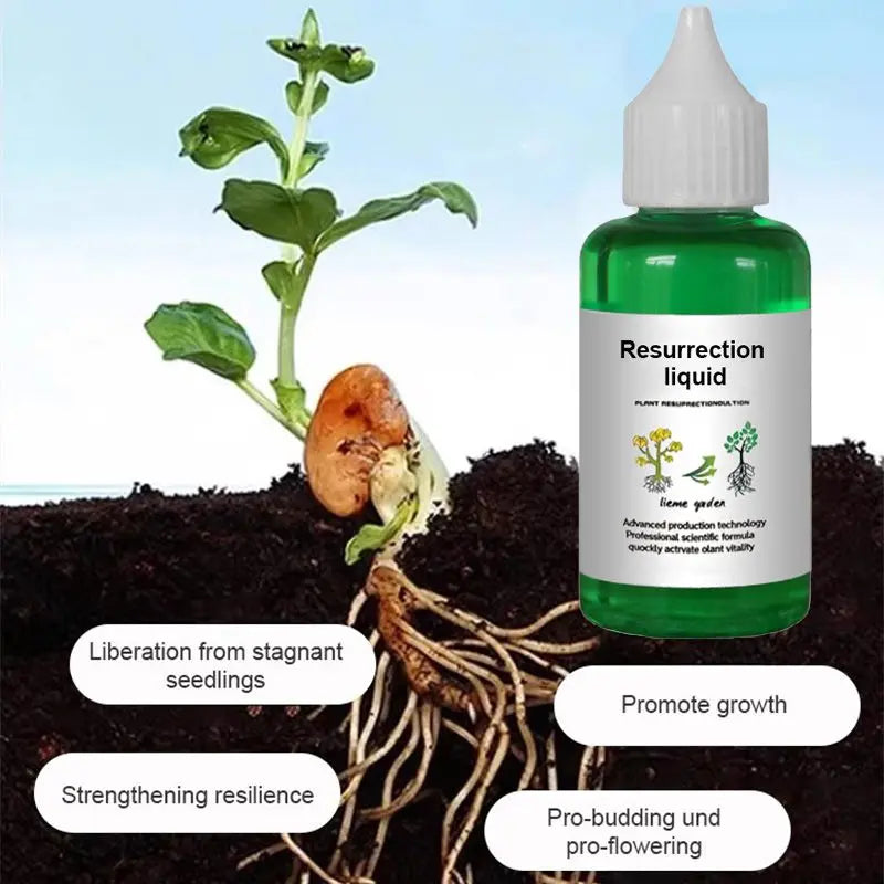 Pflanzen- & Blütenaktivator Flüssig – Stärkere Wurzeln & Mehr Blüten Zorenza