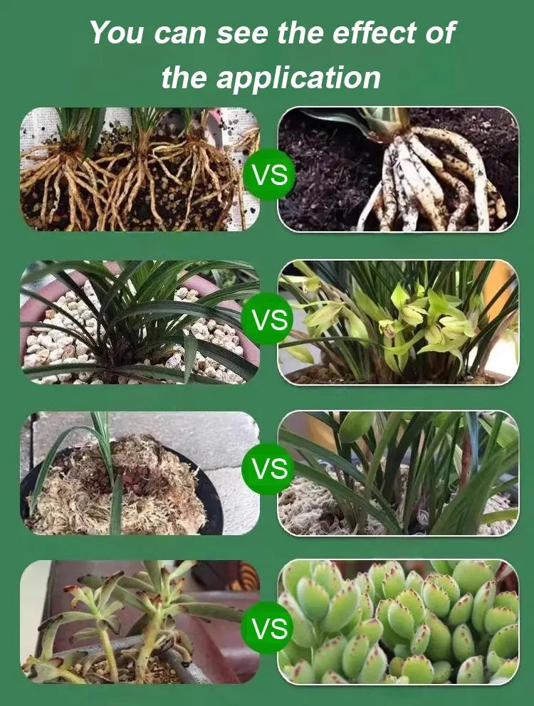 Pflanzen- & Blütenaktivator Flüssig – Stärkere Wurzeln & Mehr Blüten Zorenza