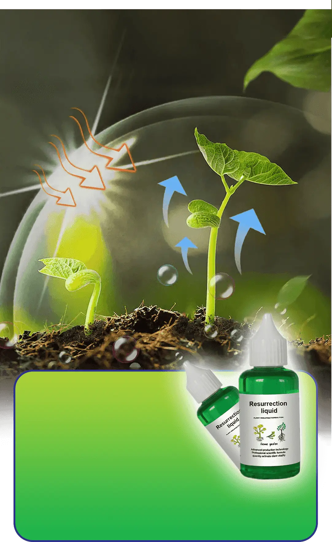 Pflanzen- & Blütenaktivator Flüssig – Stärkere Wurzeln & Mehr Blüten Zorenza