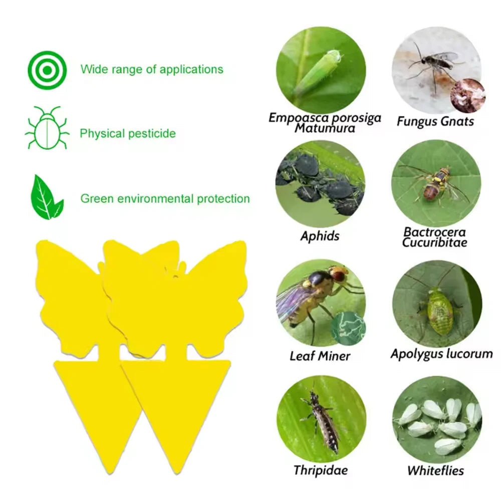 Gelbe Klebefallen Schmetterling – 2 Formen,cm -    Zorenza