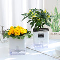 Selbstbewässernder Blumentopf mit sichtbarem Wasserstand -    Zorenza