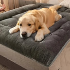 Hundebett XXL mit Plüsch-Oberfläche - 120x60 cm Zorenza