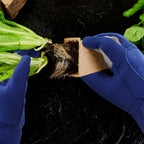 Dornenfeste Gartenhandschuhe mit verstärkter Handfläche Zorenza