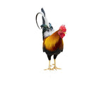 Gartenfigur Hahn aus Acryl – Wetterfeste Dekoration -    Zorenza