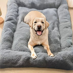Hundebett XXL mit Plüsch-Oberfläche - 120x60 cm Zorenza
