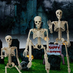 Halloween-Skelett 40 cm beweglich – Deko für Garten und Innenbereich -    Zorenza