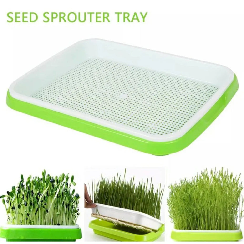 Keimschale 2-Schicht-System für Microgreens und Sprossen -    Zorenza