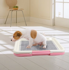 Hundetoilette mit rutschfester Matte für Innenräume -    Zorenza