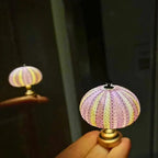 Seeigel-Nachtlampe mit sanfter Ambientebeleuchtung Zorenza