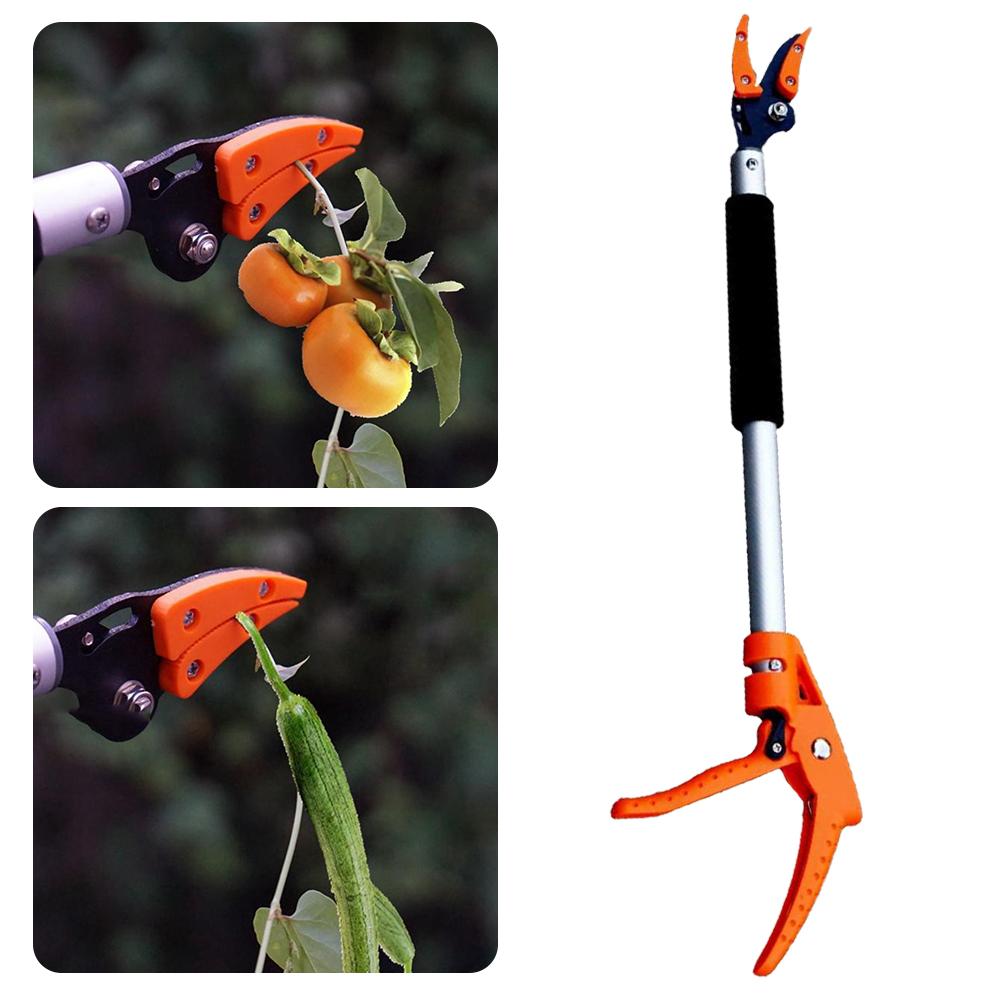 Teleskop-Astschere mit Federmechanismus – Ausziehbar von 37-60 cm -    Zorenza