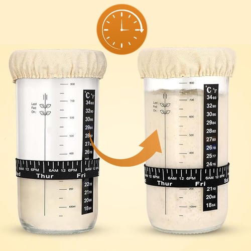 Sauerteig-Set mit Temperaturüberwachung und Silikon-Gärnester -    Zorenza