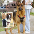 Hundegeschirr mit LED-Halsband – Anti-Zieh Design -    Zorenza