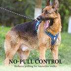 Hundegeschirr mit LED-Halsband – Anti-Zieh Design -    Zorenza