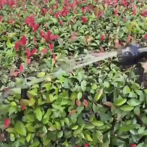 Flexibler Gartenschlauch mit 7 Sprühfunktionen -    Zorenza