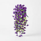 Studio collection image