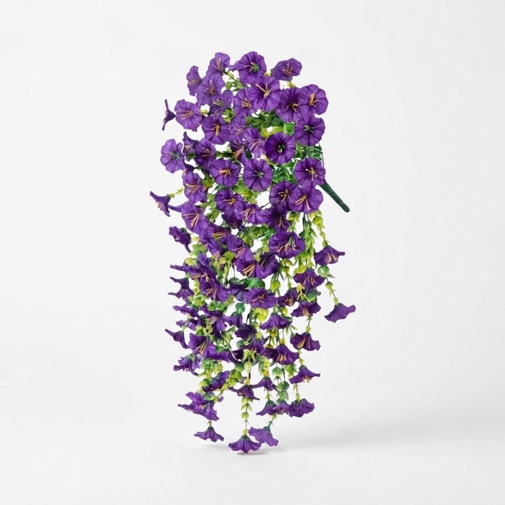 Studio collection image