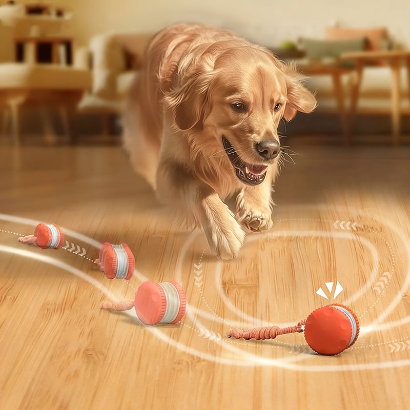 Hundespielzeug mit Bewegungssensor und zwei Geschwindigkeitsmodi -    Zorenza