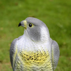 Falkenattrappe zur Vogelabwehr – realistische Raubvogelfigur Zorenza