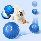 Interaktiver Hundeball mit Sensoren -    Zorenza
