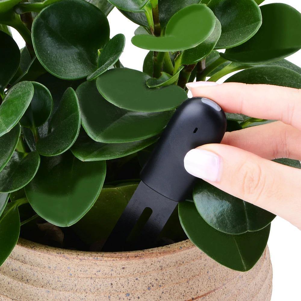 Pflanzensensor mit App-Steuerung – Bodenfeuchtigkeit und Nährstoffe -    Zorenza